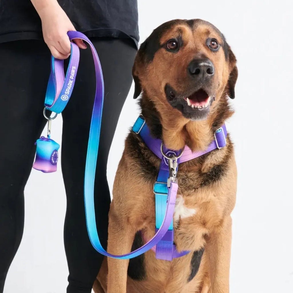Spark Paws Premium Dog Leash & Poop Bag Set - Heavy-Duty Alloy Hook for Strong Dogs
