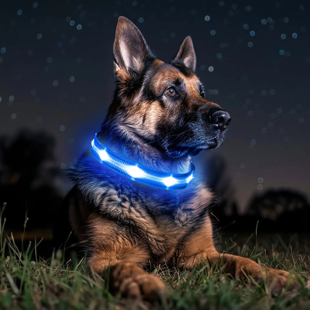 Rechargeable LED Dog Collar - Waterproof Ultra-Bright Glow Adjustable Safety Collar for Night Walks