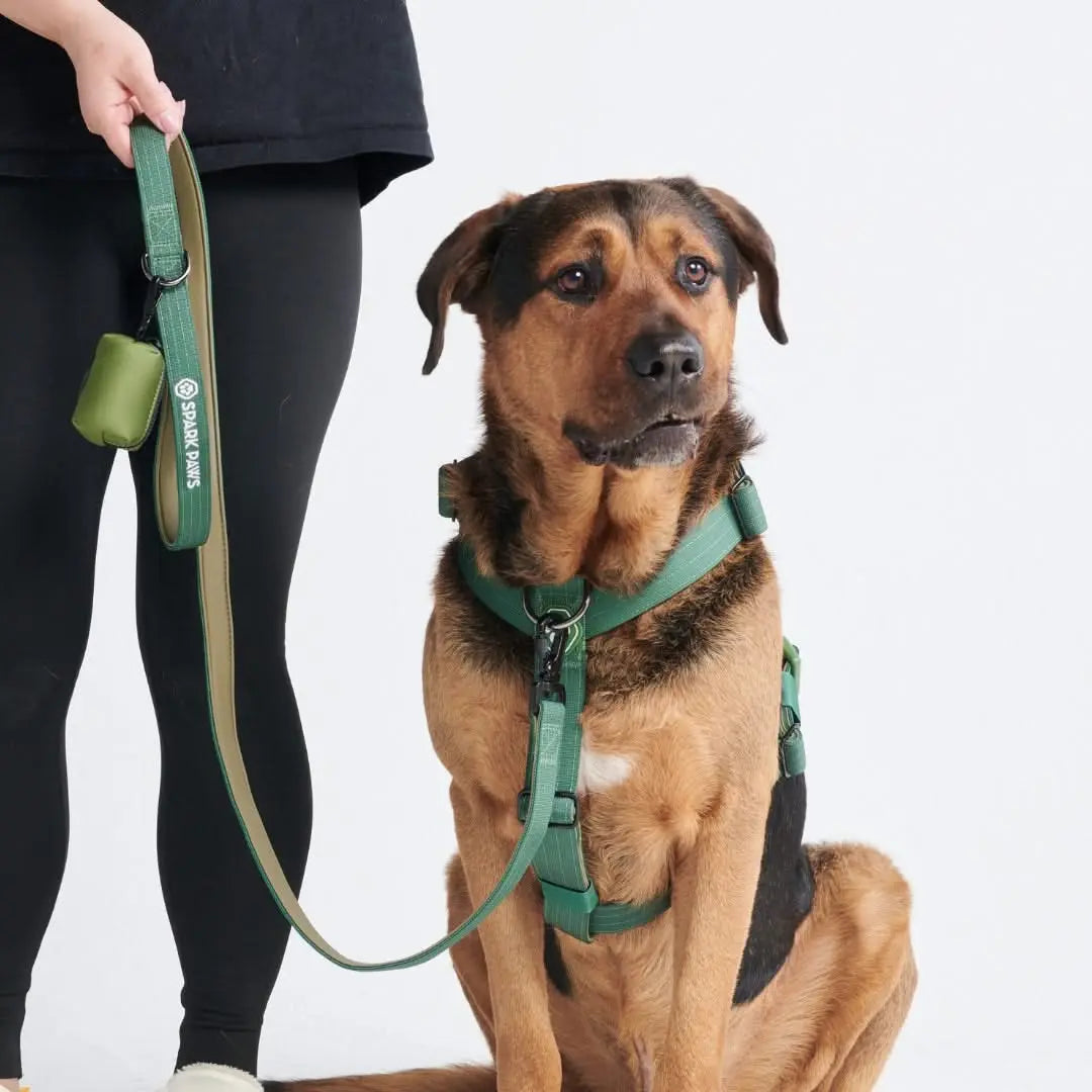 Spark Paws Premium Dog Leash & Poop Bag Set - Heavy-Duty Alloy Hook for Strong Dogs