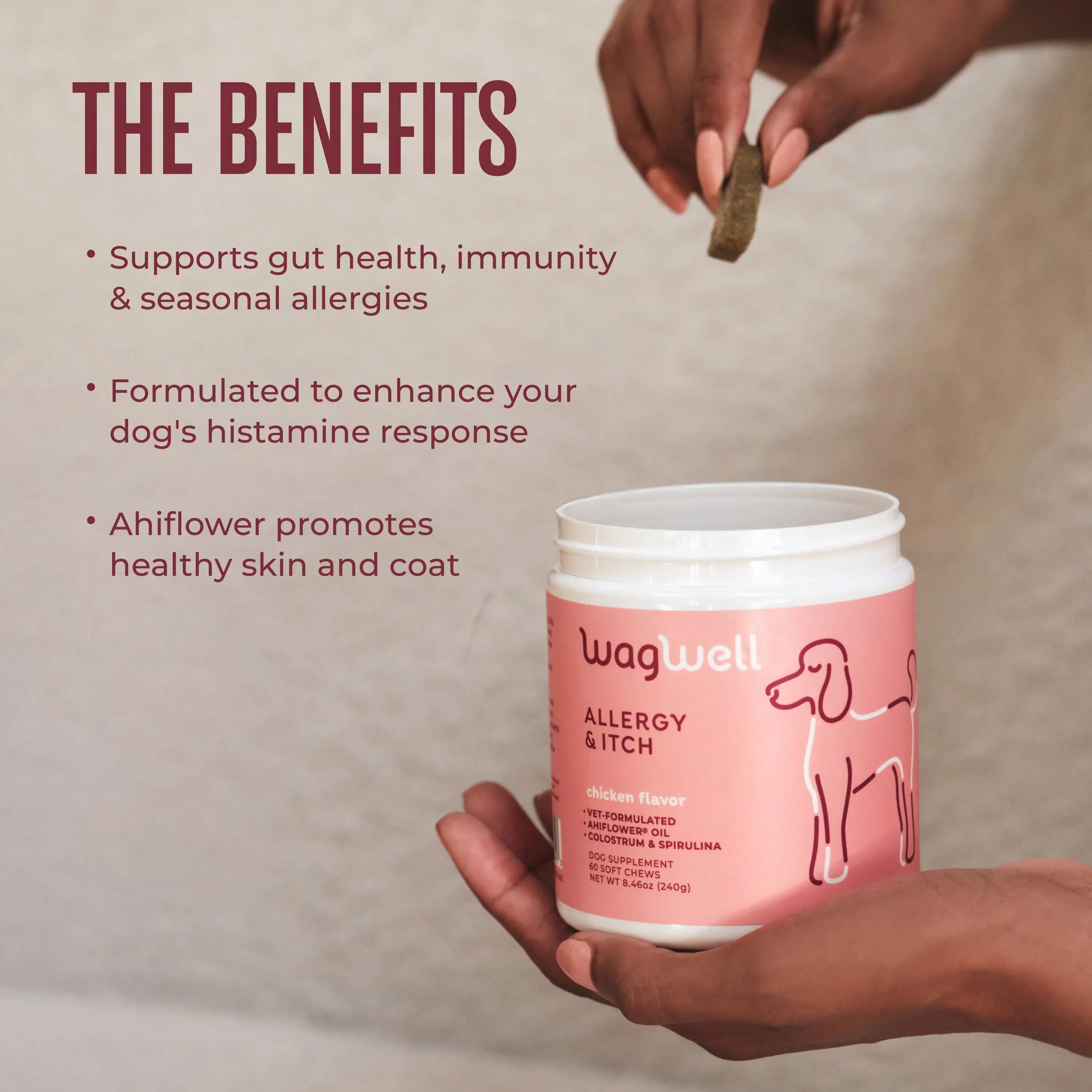 WAGWELL Itchy Pup Bundle (Dog Allergy & Itch Chews + Cleansing Wipes)