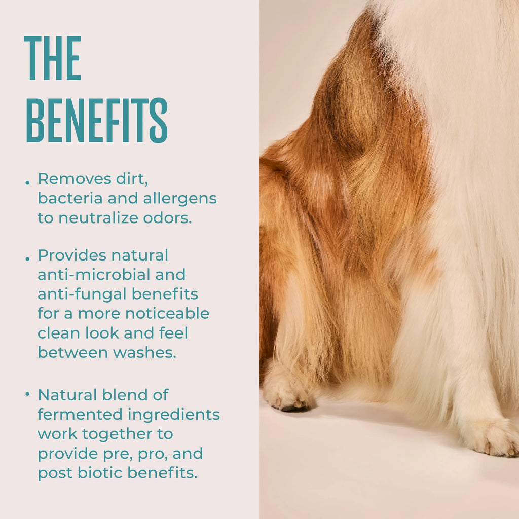 WAGWELL Itchy Pup Bundle (Dog Allergy & Itch Chews + Cleansing Wipes)