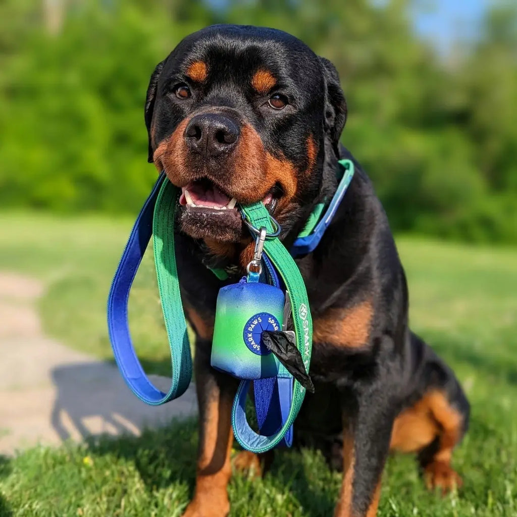Spark Paws Premium Dog Leash & Poop Bag Set - Heavy-Duty Alloy Hook for Strong Dogs