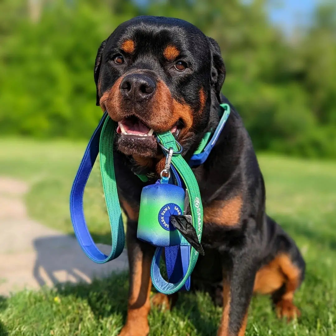 Spark Paws Premium Dog Leash & Poop Bag Set - Heavy-Duty Alloy Hook for Strong Dogs