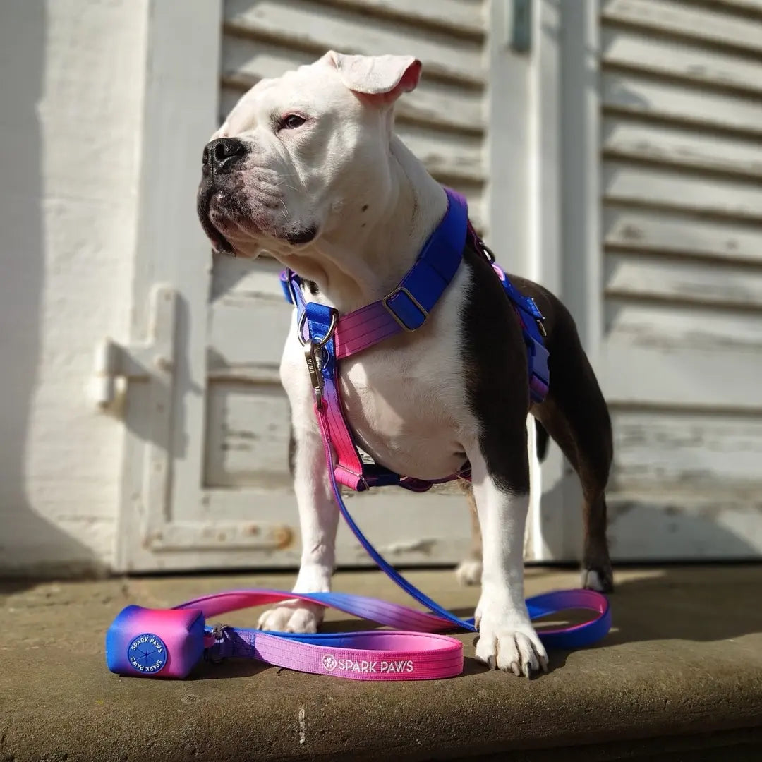 Spark Paws Premium Dog Leash & Poop Bag Set - Heavy-Duty Alloy Hook for Strong Dogs