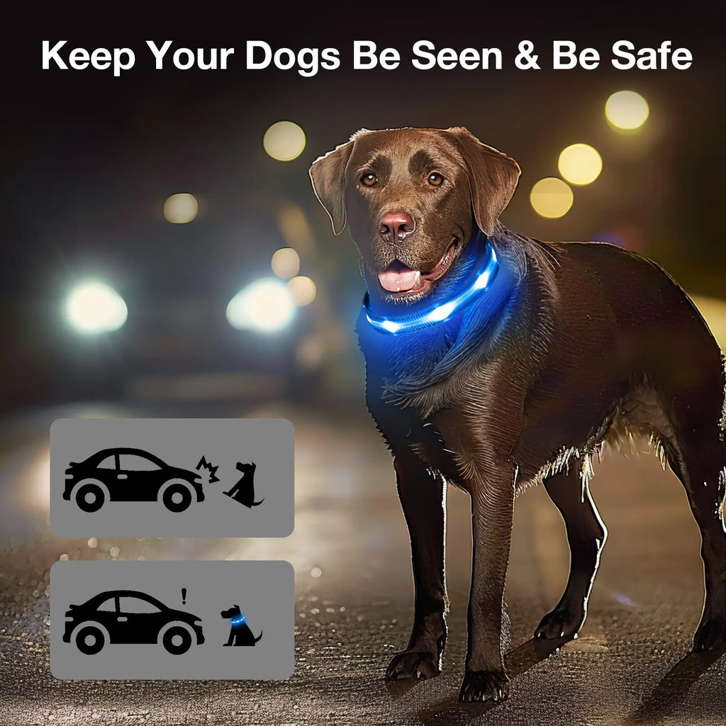 Rechargeable LED Dog Collar - Waterproof Ultra-Bright Glow Adjustable Safety Collar for Night Walks