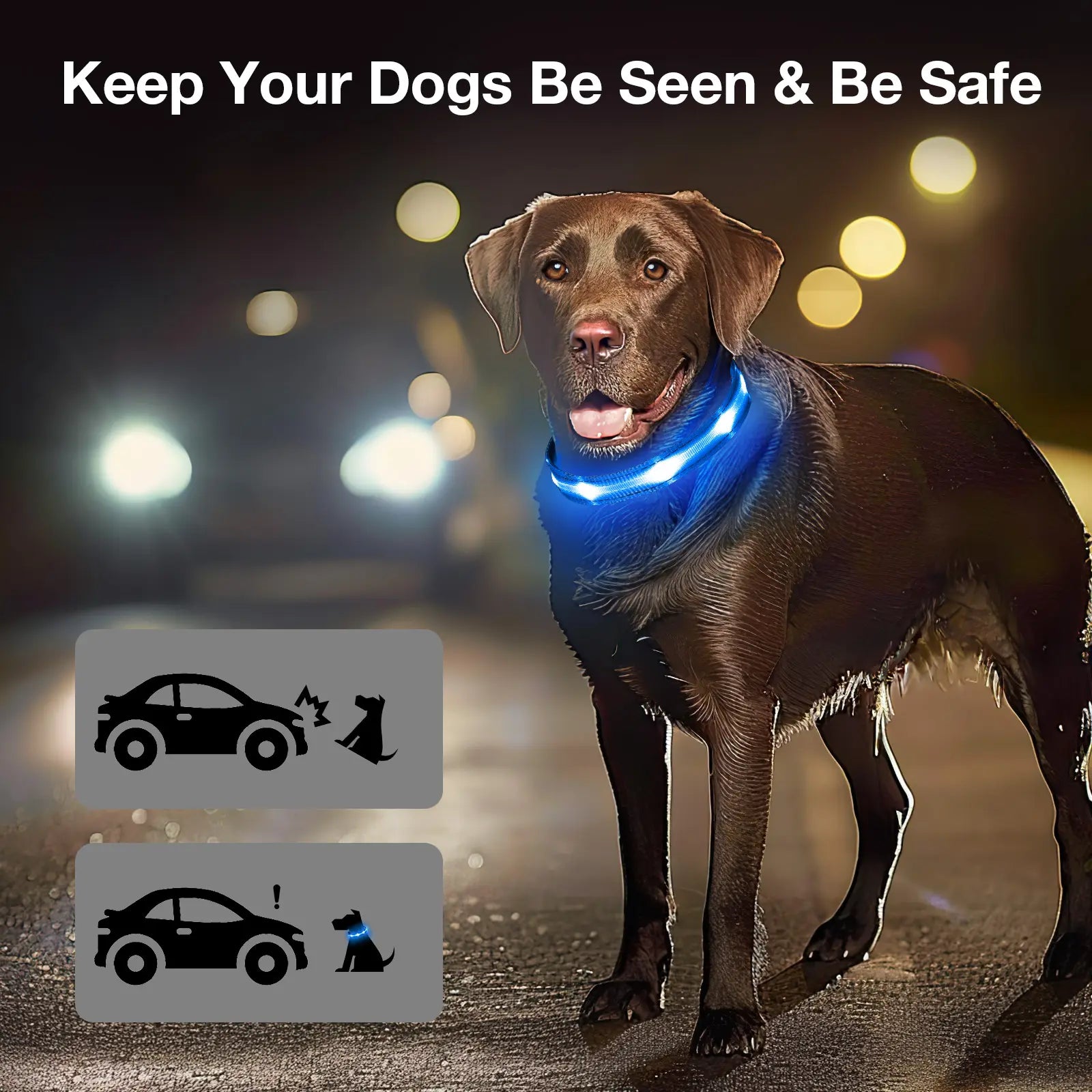 Rechargeable LED Dog Collar - Waterproof Ultra-Bright Glow Adjustable Safety Collar for Night Walks