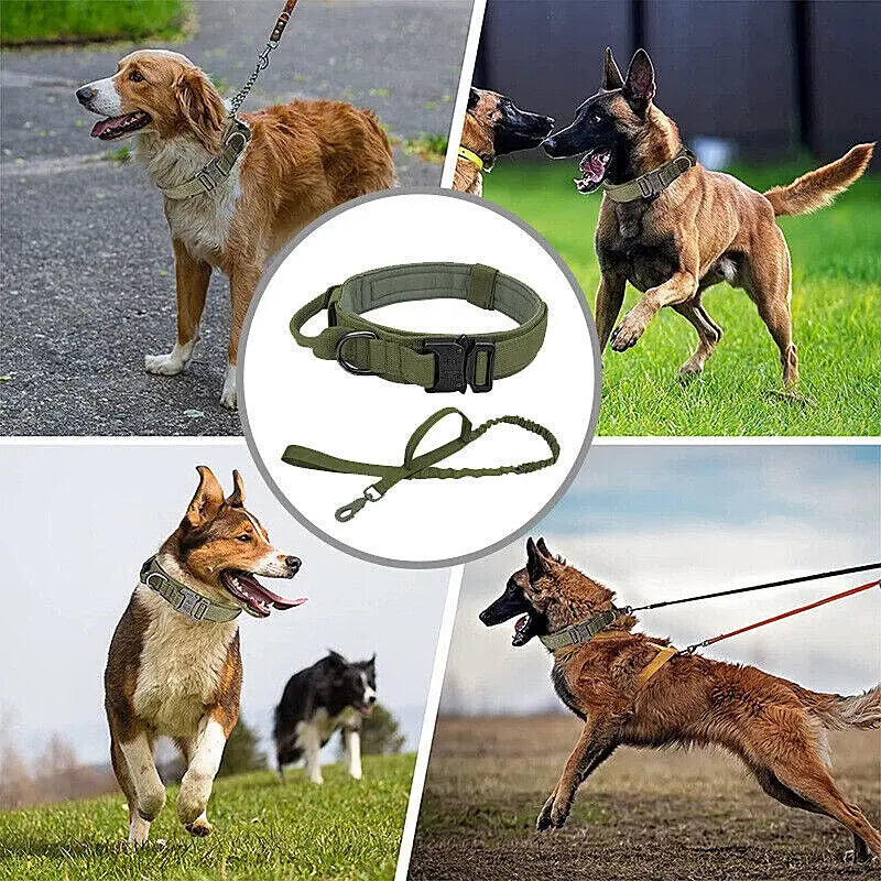 Adjustable Dog Collar with Handle - Durable Outdoor Pet Collar for Medium & Large Dogs