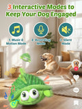 Motion Activated Interactive Dog Ball - Rechargeable Automatic Rolling Squeaky Toy for Dogs & Cats