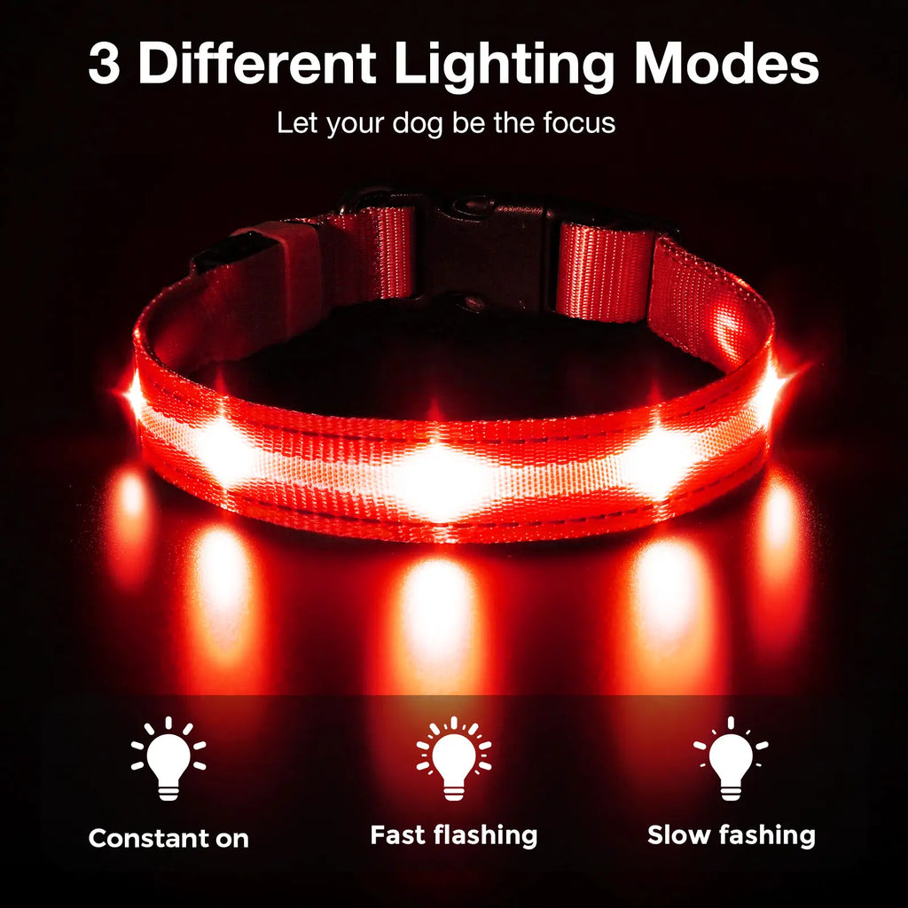 Rechargeable LED Dog Collar - Waterproof Ultra-Bright Glow Adjustable Safety Collar for Night Walks