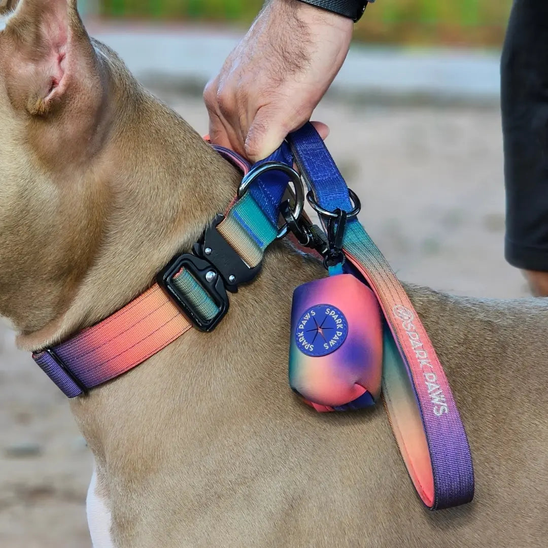 Spark Paws Premium Dog Leash & Poop Bag Set - Heavy-Duty Alloy Hook for Strong Dogs