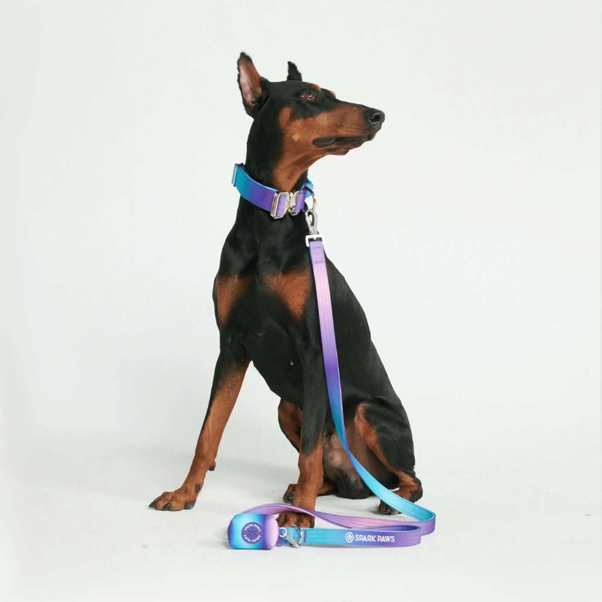 Spark Paws Premium Dog Leash & Poop Bag Set - Heavy-Duty Alloy Hook for Strong Dogs